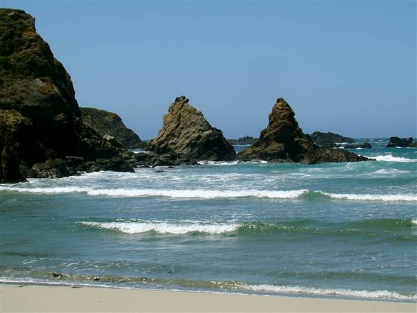 Jug Handle State Natural Reserve (SNR) - http://stateparkclosurestrip.blogspot.com/ (3/2/2016 - Credits: Photo courtesy of Lucy D'Mot)