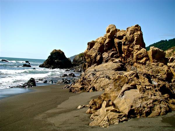 Westport-Union Landing State Beach (SB) - http://stateparkclosurestrip.blogspot.com/ (3/3/2016 - Credits: Photo courtesy of Lucy D'Mot)