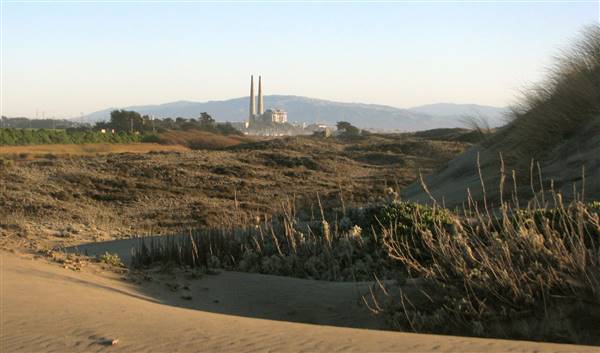 Zmudowski State Beach (SB) - http://stateparkclosurestrip.blogspot.com/ (3/3/2016 - Credits: Photo courtesy of Lucy D'Mot)