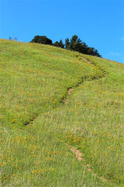 Mount Tamalpais State Park (SP) (3/9/2016 - Credits: Photo courtesy of Marin Convention & Visitors Bureau)