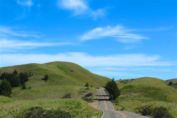 Mount Tamalpais State Park (SP) (3/9/2016 - Credits: Photo courtesy of Marin Convention & Visitors Bureau)