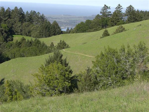 Mount Tamalpais State Park (SP) (3/9/2016 - Credits: Photo courtesy of Marin Convention & Visitors Bureau)