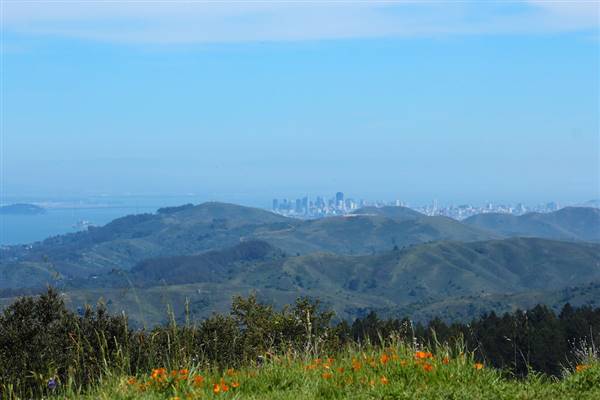 Mount Tamalpais State Park (SP) (3/9/2016 - Credits: Photo courtesy of Marin Convention & Visitors Bureau)