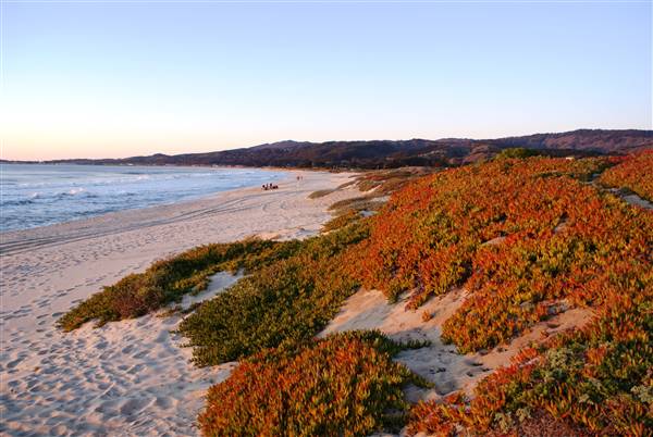 Half Moon Bay State Beach (SB) (3/10/2016 - Credits: Photo courtesy of San Mateo County Conference and Visitors Bureau)