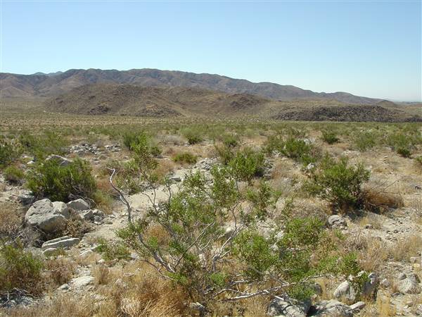 Indio Hills Palms Park Property (3/21/2016 - Credits: Photo courtesy of Steve Bier)