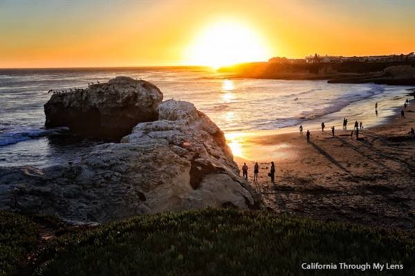 Natural Bridges State Beach (SB) - Photo courtesy of Josh McNair, http://californiathroughmylens.com/ (3/24/2016 - Credits: Photo courtesy of Josh McNair, photo courtesy of Josh McNair, Photo courtesy of Josh McNair, Photo courtesy of Josh McNair, Photo courtesy of Josh McNair, http://californiathroughmylens.com/)