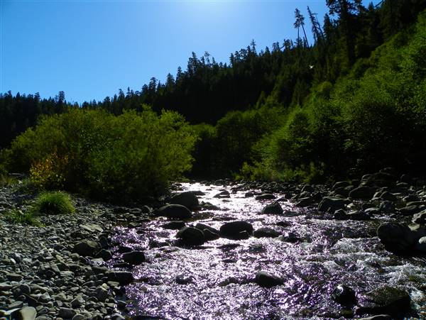 Standish-Hickey State Recreation Area (SRA) (3/28/2016 - Credits: Photos courtesy of California State Parks)