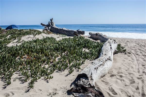 Sycamore Cove State Beach (SB) & Campground @ Point Mugu State Park (SP) - CFC (4/1/2016 - Credits: Photo courtesy of Gillian Bissonnette, California Film Commission)