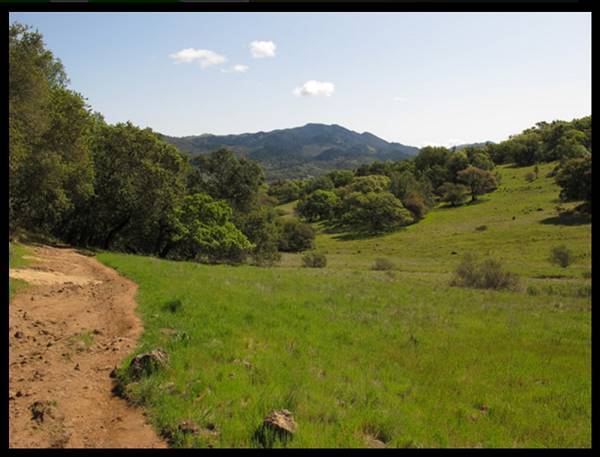 Trione-Annadel State Park (SP) - Photo courtesy of Tim Sartoris (4/7/2016 - Credits: Photo courtesy of Tim Sartoris)