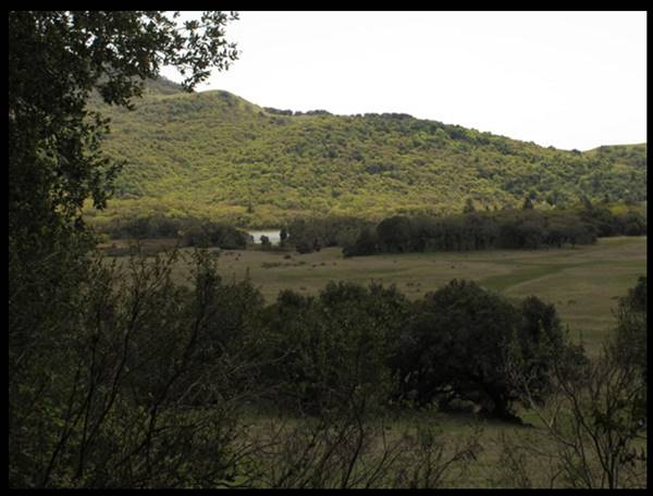 Trione-Annadel State Park (SP) - Photo courtesy of Tim Sartoris (4/7/2016 - Credits: Photo courtesy of Tim Sartoris)