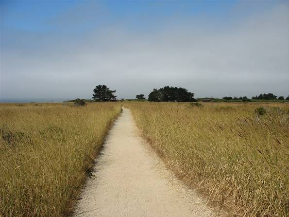 Año  Nuevo State Park (SP) - Photo courtesy of Tim Sartoris (4/7/2016 - Credits: Photo courtesy of Tim Sartoris)