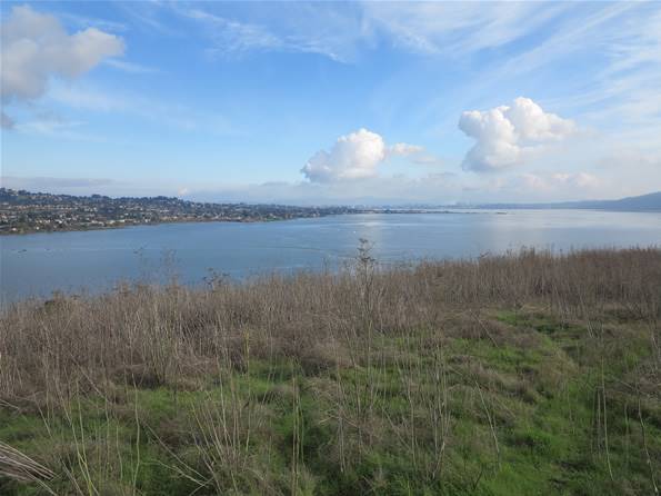 Benicia State Recreation Area (SRA) - Photo courtesy of Tim Sartoris (4/7/2016 - Credits: Photo courtesy of Tim Sartoris)