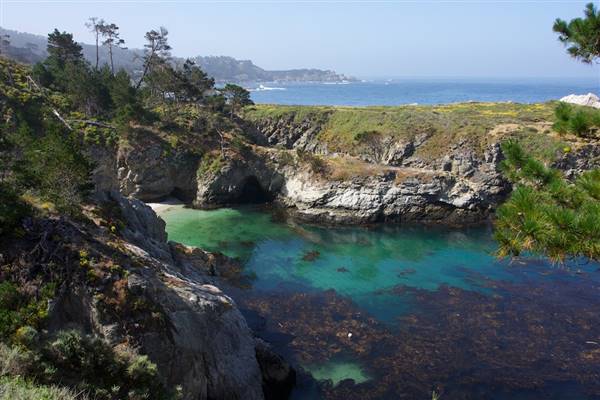 Point Lobos State Natural Reserve (SNR) - Photos by Callie Bowdish - http://www.calliebowdish.com/slideshow/PointLobos/index.html (4/7/2016 - Credits: Photos by Callie Bowdish - http://www.calliebowdish.com/slideshow/PointLobos/index.html)