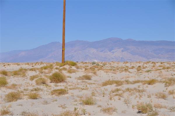 Olancha Sand Dunes - Bureau of Land Management - California Desert District - Ridgecrest Field Office - BLM - Off Highway Vehicle Area - OHV (4/12/2016 - Credits: Photo by Robin Citrin)
