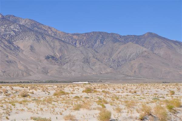 Olancha Sand Dunes - Bureau of Land Management - California Desert District - Ridgecrest Field Office - BLM - Off Highway Vehicle Area - OHV (4/12/2016 - Credits: Photo by Robin Citrin)