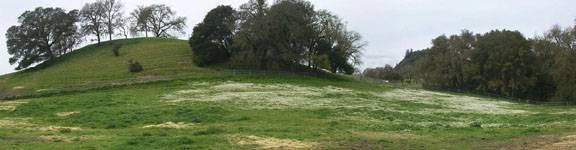 Chalk Hill Ranch (12/31/2003)