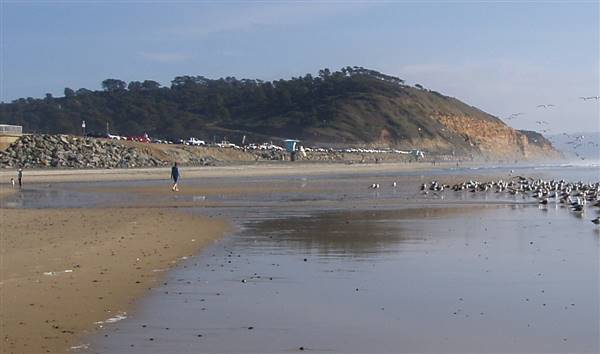 Torrey Pines State Beach (SB) (4/19/2016 - Credits: Wikimedia Public Domain)