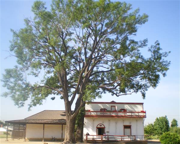 Pio Pico State Historic Park (SHP) (5/1/2008 - Credits: By Los Angeles (Own work) [GFDL (http://www.gnu.org/copyleft/fdl.html) or CC BY-SA 4.0-3.0-2.5-2.0-1.0 (http://creativecommons.org/licenses/by-sa/4.0-3.0-2.5-2.0-1.0)], via Wikimedia Commons)