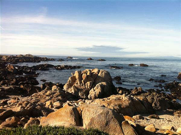 Asilomar State Beach and Conference Grounds (1/12/2011 - Credits: By Neil Conway from Oakland, USA (Asilomar  Uploaded by Ekabhishek) [CC BY 2.0 (http://creativecommons.org/licenses/by/2.0)], via Wikimedia Commons)