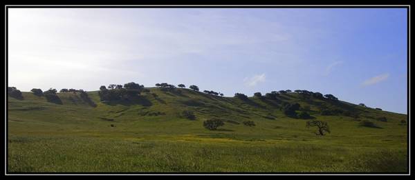 Pacheco State Park (SP) and Windmill Farm / Wind Energy (4/5/2008 - Credits: "Pacheco State Park" by Flickr User: Akshay (CC BY-NC-ND 2.0) [https://creativecommons.org/licenses/by-nc-nd/2.0/legalcode] https://www.flickr.com/people/aatflickr/)