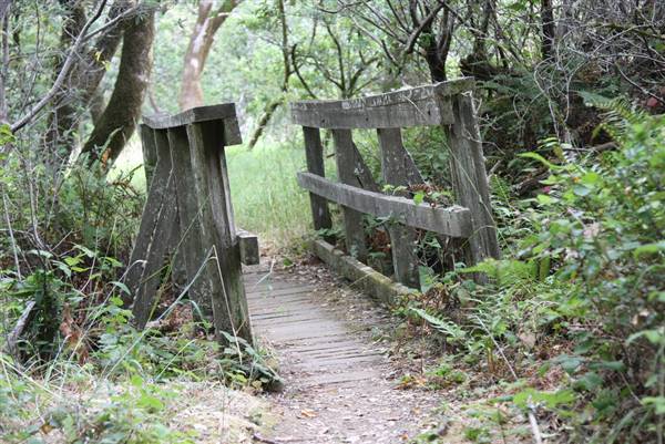 Samuel P. Taylor State Park (SP) (7/20/2008 - Credits: "Hiking in Samuel P. Taylor State Park" by Miikka Skaffari (CC BY-NC 2.0) [https://creativecommons.org/licenses/by-nc/2.0/legalcode] https://www.flickr.com/photos/miikka_skaffari/)