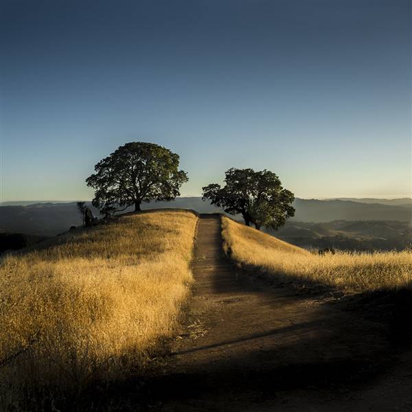 Mount Diablo State Park (SP) (8/8/2015 - Credits: "The Path" by Taji Allen (CC BY-NC-ND 2.0)[https://creativecommons.org/licenses/by-nc-nd/2.0/legalcode] https://www.flickr.com/photos/tajiahkura/)