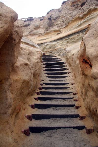 Torrey Pines State Natural Reserve (SNR) (8/21/2009 - Credits: Torrey Pines 16' by Flickr User; Joevare (CC BY-ND 2.0) [https://creativecommons.org/licenses/by-nd/2.0/legalcode] https://www.flickr.com/photos/joevare/)