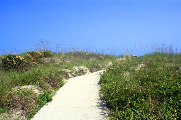 Huntington State Beach (SB) (10/8/2008 - Credits: "Approach to the Beach at Huntington State Park" By flickr User: illstarred (CC By-NC-ND 2.0)[https://creativecommons.org/licenses/by-nc-nd/2.0/legalcode]https://www.flickr.com/photos/29143067@N04/)