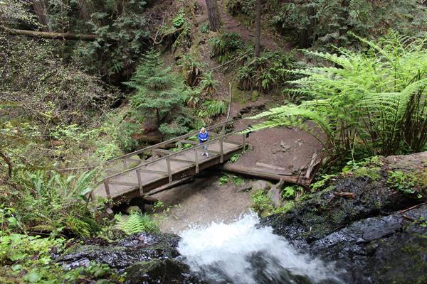 Russian Gulch State Park (SP) / Russian Gulch Bridge - Highway 1 (4/20/2015 - Credits: "View from the top of the falls, Russian Gulch State Park" by Bruce Washburn (CC BY 2.0)[https://creativecommons.org/licenses/by/2.0/legalcode] https://www.flickr.com/photos/btwashburn/)