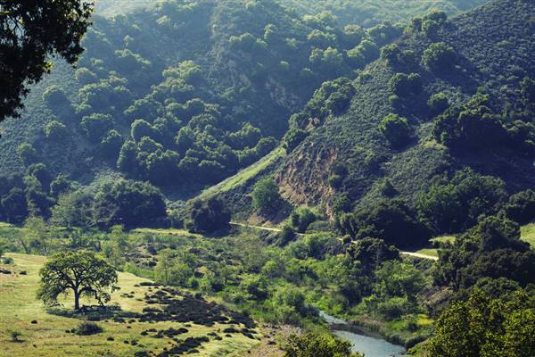 Malibu Creek State Park (SP) (4/29/2012 - Credits: "Malibu Creek" by Felix Tsao (CC BY 2.0)[https://creativecommons.org/licenses/by/2.0/legalcode]https://www.flickr.com/people/felixtsao/)
