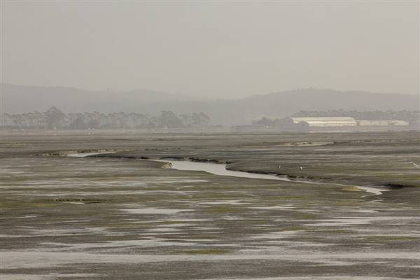 Arcata Marsh and Wildlife Sanctuary (7/20/2013 - Credits: "Marshes" by Rus Kloak (CC BY 2.0)[https://creativecommons.org/licenses/by/2.0/legalcode]https://www.flickr.com/photos/120823934@N07/)