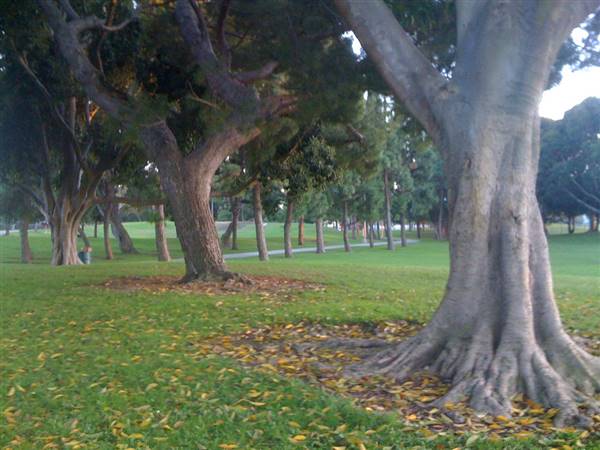 Alondra Community Regional Park (10/13/2010 - Credits: "Alondra Park" by Flickr User: Urban Outbacker (CC BY 2.0)[https://creativecommons.org/licenses/by/2.0/legalcode]https://www.flickr.com/photos/urbanoutbacker/)
