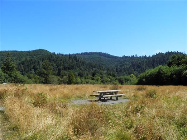 Redwood National & State Parks (8/19/2012 - Credits: "Redwood National Park" by Flickr User: Mike M.S. (CC BY 2.0)[https://creativecommons.org/licenses/by/2.0/legalcode]https://www.flickr.com/photos/39965300@N07/)