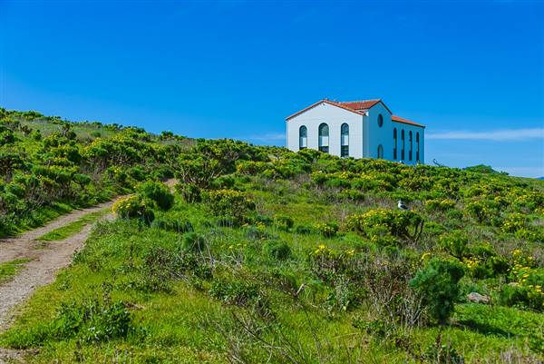 Channel Islands National Park - Anacapa Island (2/16/2013 - Credits: "Spring on Anacapa Island" by Flickr User: Felix's Endless Journey (CC BY-NC-ND 2.0)[https://creativecommons.org/licenses/by-nc-nd/2.0/legalcode]https://www.flickr.com/photos/ifenyu/)