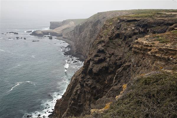 Channel Islands National Park (4/20/2012 - Credits: "Santa Barbara Island 2" by John Fellner (CC BY-NC-ND 2.0)[https://creativecommons.org/licenses/by/2.0/legalcode]https://www.flickr.com/photos/johnfellner/)