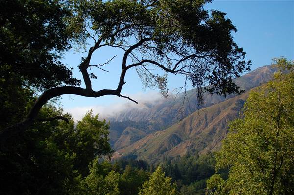 Pfeiffer Big Sur State Park (SP) (7/29/2009 - Credits: "Big Sur" by Keith Ewing (CC BY-NC 2.0)[https://creativecommons.org/licenses/by-nc/2.0/legalcode]https://www.flickr.com/photos/kewing/)