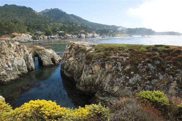 Point Lobos State Natural Reserve (SNR) (3/21/2008 - Credits: California Travel and Tourism Commision / Blaise (2008))