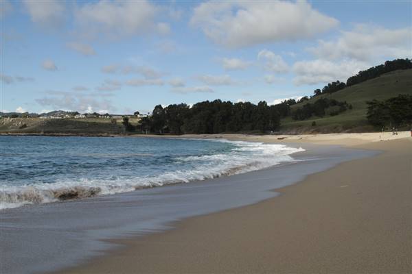 Monastery Beach @ Carmel River State Beach (SB) (5/25/2012 - Credits: "Image 22933" by Vlad Butsky (CC BY 2.0) [https://creativecommons.org/licenses/by/2.0/legalcode]https://www.flickr.com/photos/butsky/)