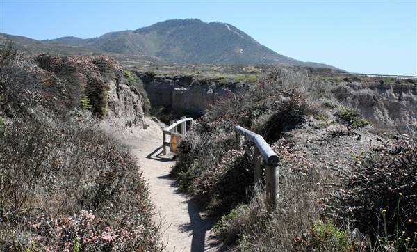 Montana de Oro State Park (SP) (9/1/2010 - Credits: "Montana de Oro State Park" by Chris Jepsen (CC BY-NC-ND 2.0)[https://creativecommons.org/licenses/by-nc-nd/2.0/legalcode]https://www.flickr.com/photos/traderchris/)