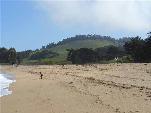 Monastery Beach @ Carmel River State Beach (SB) (3/24/2014 - Credits: "Monastery Beach, Carmel River State Beach, Carmel, California" by Ken Lund (CC BY-SA 2.0)[https://creativecommons.org/licenses/by-sa/2.0/legalcode]https://www.flickr.com/photos/kenlund/)