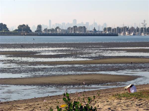 Robert W. Crown Memorial State Beach (SB) - East Bay Regional Park District (2/1/2011 - Credits: "San Francisco from Crown Memorial State Beach" by Steve Boland (CC BY-NC-ND 2.0)[https://creativecommons.org/licenses/by-nc-nd/2.0/legalcode]https://www.flickr.com/photos/sfcityscape/)