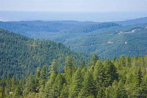 Del Norte Coast Redwoods State Park (SP) within the Redwood National and State Parks (8/4/2016 - Credits: Photograph courtesy of David Baselt - http://www.redwoodhikes.com/DelNorte/DelNorte.html)