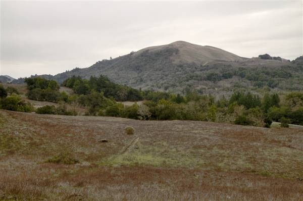 Sugarloaf Ridge State Park (SP) (1/11/2011 - Credits: "IMG_8713_2_1_" by Sandy Richard (CC BY-NC 2.0)[https://creativecommons.org/licenses/by-nc/2.0/legalcode]https://www.flickr.com/photos/9428166@N03/)