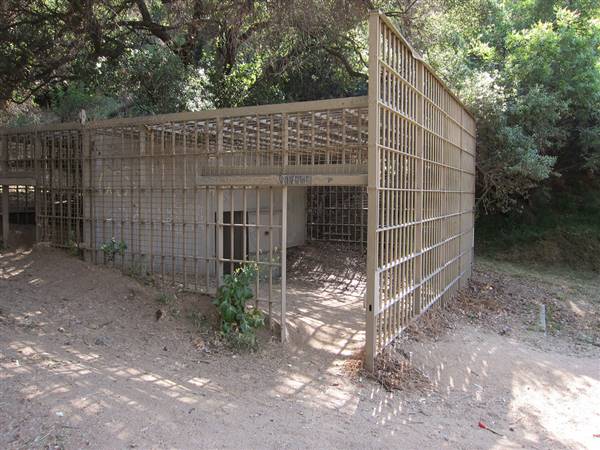 Griffith Park - Old LA Zoo (5/30/2012 - Credits: "Griffith Park Old Zoo (2599)" By Don Barrett (CC BY-NC-ND 2.0)[https://creativecommons.org/licenses/by-nc-nd/2.0/legalcode]https://www.flickr.com/photos/donbrr/)