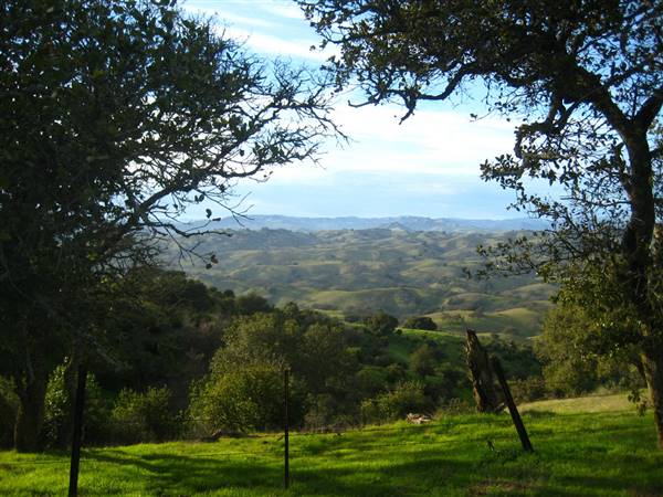 Pacheco State Park (SP) and Windmill Farm / Wind Energy (1/10/2010 - Credits: "Rolling Hills" by Joe Navratil (CC BY-NC-ND 2.0)[https://creativecommons.org/licenses/by-nc-nd/2.0/legalcode]https://www.flickr.com/photos/navratil/)