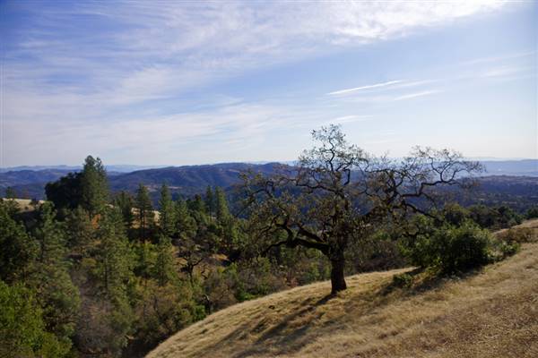Henry W. Coe State Park (SP) (12/4/2011 - Credits: "2011-12-04 Morgan Hill, Henry W. Coe State Wilderness Park 003.jpg" by Allie Caulfield (CC BY 2.0)[https://creativecommons.org/licenses/by/2.0/legalcode]https://www.flickr.com/photos/wm_archiv/)