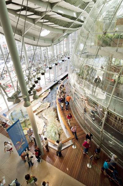 California Academy of Sciences (6/28/2014 - Credits: Photograph Courtesy of Visit California)