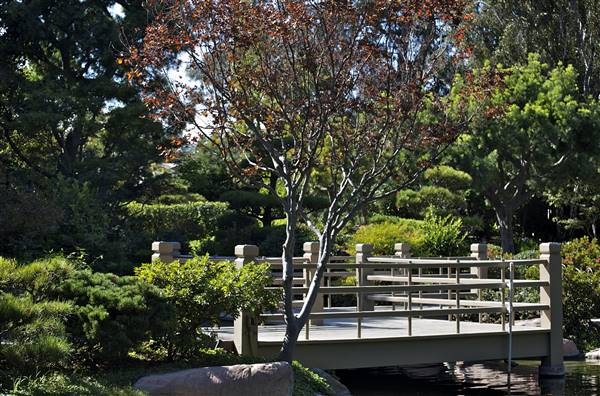 Earl Burns Miller Japanese Garden - California State University Long Beach - CSULB (10/11/2009 - Credits: "Earl Burn Miller Japanese Garden" by Flickr User: Soraya S. (CC BY-NC-ND 2.0)[https://creativecommons.org/licenses/by-nc-nd/2.0/legalcode]https://www.flickr.com/photos/sorayas/)