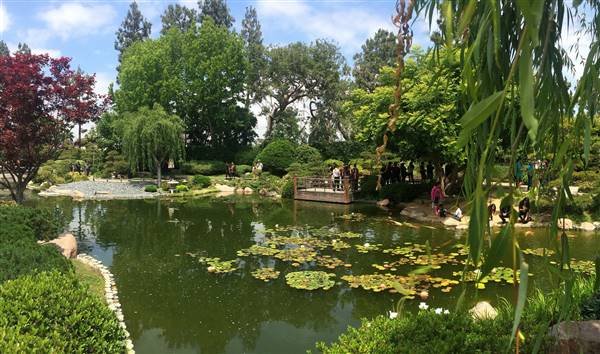 Earl Burns Miller Japanese Garden - California State University Long Beach - CSULB (5/15/2016 - Credits: "Untitled" by Sergei Gussev (CC BY 2.0)[https://creativecommons.org/licenses/by/2.0/legalcode]https://www.flickr.com/photos/sergeigussev/)