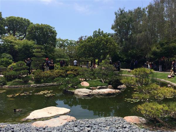 Earl Burns Miller Japanese Garden - California State University Long Beach - CSULB (5/15/2016 - Credits: "Untitled" by Sergei Gussev (CC BY 2.0)[https://creativecommons.org/licenses/by/2.0/legalcode]https://www.flickr.com/photos/sergeigussev/)